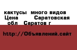 кактусы, много видов › Цена ­ 70 - Саратовская обл., Саратов г.  »    